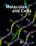 Elsevier partners with the Korean Society for Molecular and Cellular Biology to publish Molecules and Cells