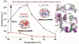 Engineered protein inspired by nature may help plastic plague