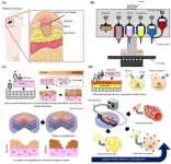 Engineering diseased human skin in vitro