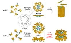 Engineering nature’s blueprint: Dendron-based assemblies for chlorophyll’s materials