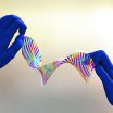 Engineers create chameleon-like artificial skin that shifts color on demand