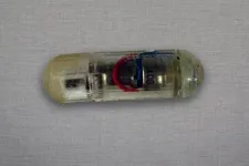 Engineers develop a vibrating, ingestible capsule that might help treat obesity