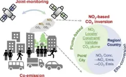 Enhancing climate action: satellite insights into fossil fuel CO2 emissions