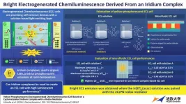 Enhancing electrogenerated chemiluminescence of an iridium complex