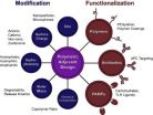 Enhancing the immune response through next generation polymeric vaccine adjuvants