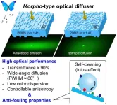 Enlightening insects: Morpho butterfly nanostructure inspires technology for bright, balanced lighting