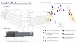 Entangled quantum memories for a quantum repeater: A step closer to the Quantum Internet