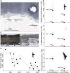 Entire populations of Antarctic seabirds fail to breed due to extreme, climate-change-related snowstorms