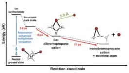 Epic of a molecular ion: With eyes of electrons 3