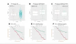 Epigenetic aging and DNA-methylation as tumor markers for breast cancer