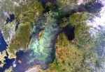 Eutrophication makes toxic cyanobacteria more toxic