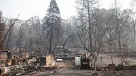 Evacuating under dire wildfire scenarios