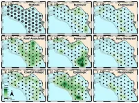 Evaluation of DNA metabarcoding for identifying fish eggs: a case study on the West Florida Shelf