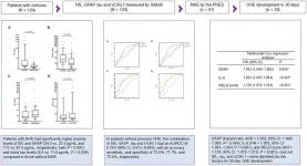 Evaluation of plasma neurodegenerative biomarkers for diagnosing minimal hepatic encephalopathy and predicting overt hepatic encephalopathy in Chinese patients with hepatic cirrhosis