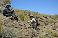 Even Sonoran Desert plants aren’t immune to climate change