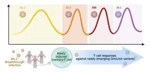 Evolution of the human immune system in the post-Omicron era 2