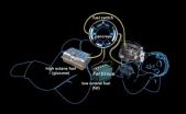 Evolutionary conservation of fat metabolism pathways