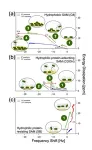 Examining the adhesion tendency of biofilm-forming bacteria on organic surfaces 2