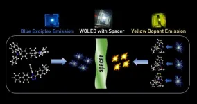 Exciplex route to white OLEDs: the role of spacer