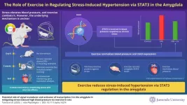 Exercise your way to lower blood pressure: Brain pathway to fight high blood pressure