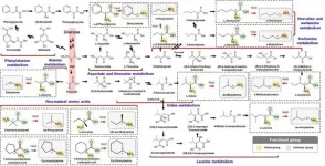 Expanding the biosynthetic pathway via retrobiosynthesis