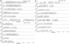 Experiment captures why pottery forms are culturally distinct 2