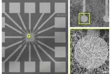 Experimental brain-like computing system more accurate with custom algorithm