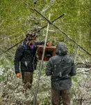 Experimental broadcast of whitewater river noise drives bats and birds away