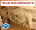 Expert Releases In-Depth Cost Table for Safe Mold Removal 3