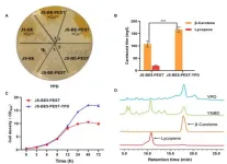 Expertly engineered saccharomyces cerevisiae yeast strain in the optimized production of carotenoids