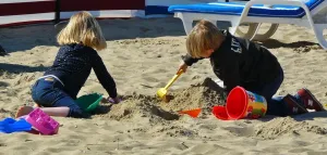 Experts put new method of analysing childrens play to the test