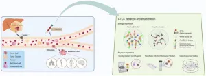 Exploring circulating tumor cells: Detection methods and biomarkers for clinical evaluation in hepatocellular carcinoma