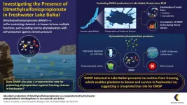 Exploring dimethylsulfoniopropionate production by freshwater phytoplankton in lake Baikal