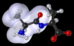 Exploring peptide clumping for improved drug and material solutions