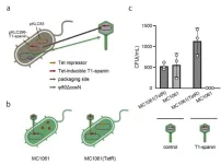 Exploring the bactericidal activity of T1-spanin against drug-resistant bacteria