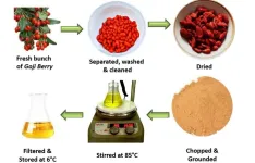 Exploring the eco-friendly future of antibiotic particles