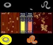 Exploring the effect of ring closing on fluorescence of supramolecular polymers