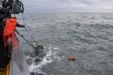 Exploring the impact of offshore wind on whale deaths #ASA187