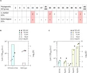 Exploring the transferability of extracytoplasmic function switches across bacterial species