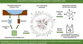 Exploring the unseen: microbial wonders in earth's saltiest waters