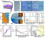 Fabrication of p-type 2D single-crystalline transistor arrays with Fermi-level-tuned van der Waals semimetal electrodes 2