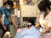 Facility dogs in children’s hospitals benefit both patients and staff 2