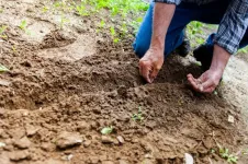 Facts on the ground: How microplastics in the soil contribute to environmental pollution