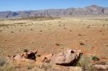 Fairy circles apparently not created by termites after all