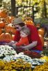 Fall Foliage Beauty Unveiled Through Leaf Cam in Historic Corydon, Indiana; Win Couples Getaway Package to Harrison County