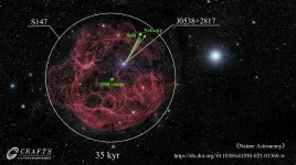 FAST detects 3D spin-velocity alignment in a pulsar