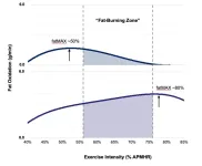 Fat burning during exercise varies widely between individuals