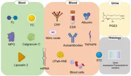 Fecal, blood, and urinary biomarkers in inflammatory bowel diseases