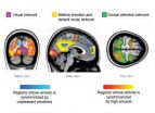 Feeling strong emotions makes peoples brains tick together