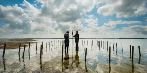 Fencing young mussels for ecosystem restoration